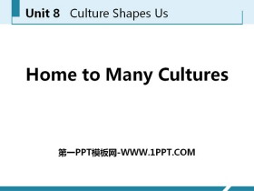 《Home to Many Cultures》Culture Shapes Us PPT课件下载