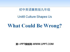 《What Could Be Wrong?》Communication PPT教学课件