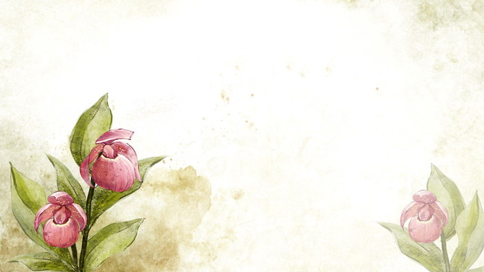 八张唯美水彩花卉PPT背景图片