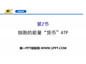 《细胞的能量“货币”ATP》细胞的能量供应和利用PPT