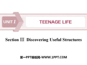 《Teenage Life》Discovering Useful Structures PPT课件