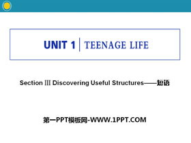 《Teenage Life》Discovering Useful Structures PPT下载