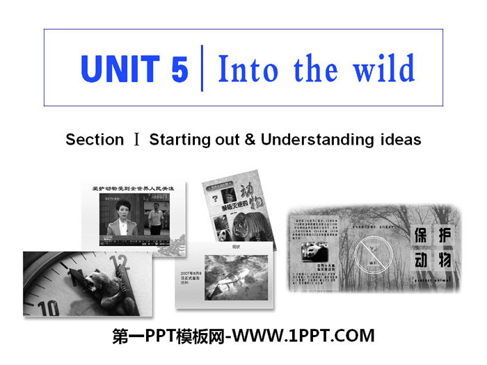 《Into the wild》Section ⅠPPT课件