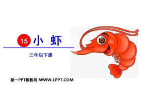 《小虾》PPT课件下载
