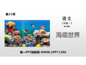 《海底世界》PPT免费下载