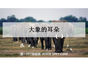 《大象的耳朵》PPT课件下载