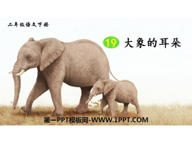 《大象的耳朵》PPT免费课件
