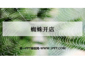 《蜘蛛开店》PPT免费课件
