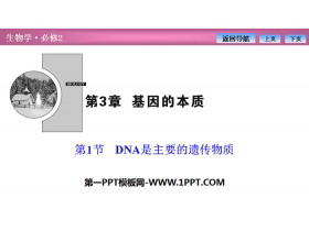 《DNA是主要的遗传物质》基因的本质PPT课件