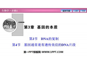 《DNA的复制》《基因通常是有遗传效应的DNA片段》基因的本质PPT课件