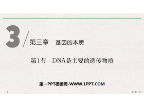 《DNA是主要的遗传物质》基因的本质PPT下载