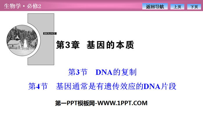 《DNA的复制》《基因通常是有遗传效应的DNA片段》基因的本质PPT课件