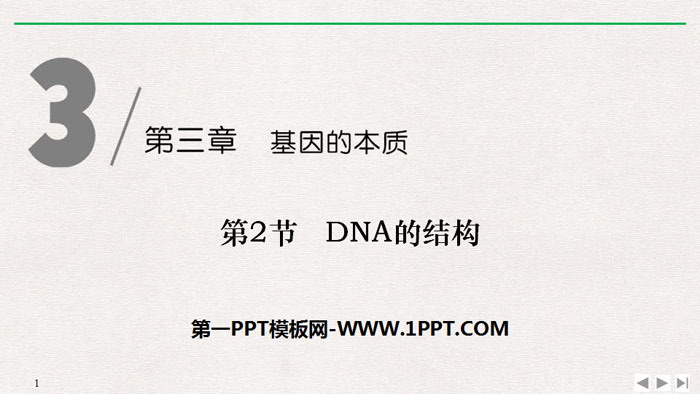 《DNA的结构》基因的本质PPT下载