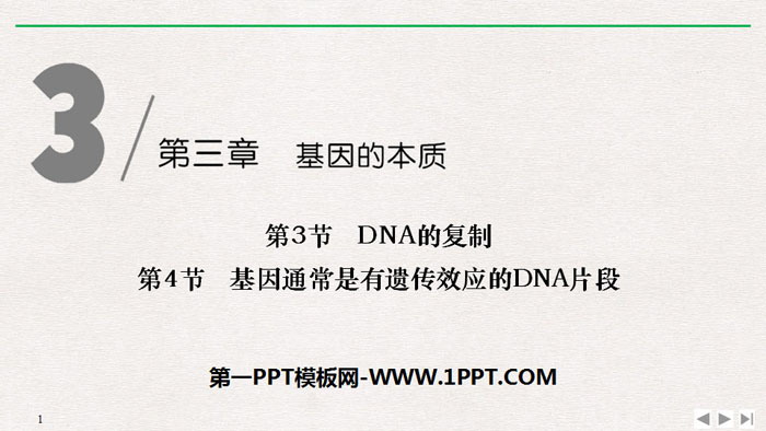 《DNA的复制》《基因通常是有遗传效应的DNA片段》基因的本质PPT下载