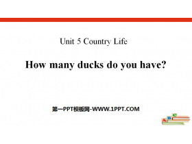 《How many ducks do you have?》Country Life PPT