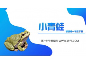 《小青蛙》PPT免费课件