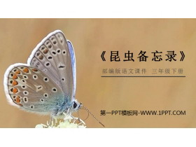 《昆虫备忘录》PPT课件免费下载