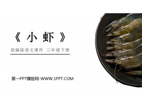 《小虾》PPT课件免费下载