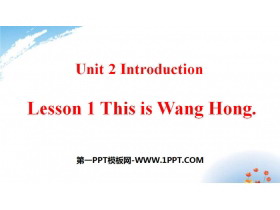 《This is Wang Hong》Introduction PPT