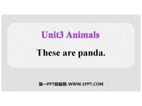 《These are pandas》Animals PPT课件