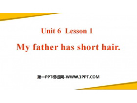 《My father has short hair》Family PPT课件