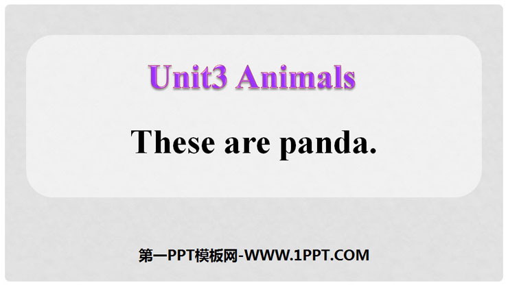 《These are pandas》Animals PPT课件