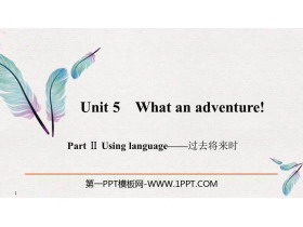 《What an adventure!》PartⅡ PPT课件