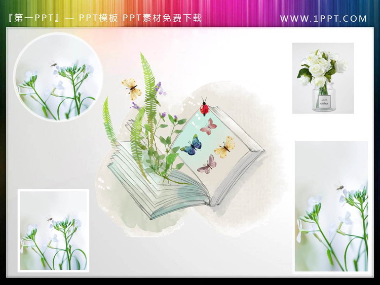 清新绿色植物书籍蝴蝶PPT插图