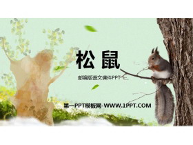 《松鼠》PPT教学课件免费下载