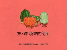 《蔬菜的剖面》PPT课件下载