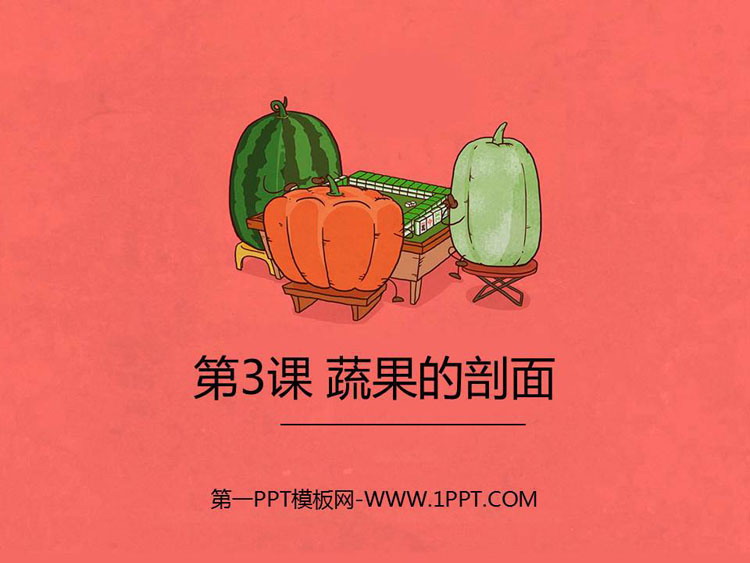 《蔬菜的剖面》PPT课件下载
