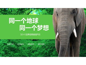 森林大象背景的世界�游锶罩黝}班��PPT模板