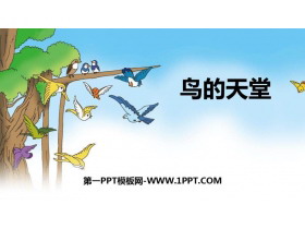 《鸟的天堂》PPT课件免费下载