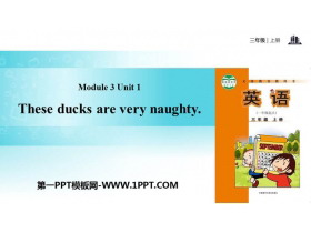 《These ducks are very naughty!》PPT教学课件