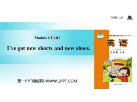 《I/ve got new shorts and new shoes》PPT教学课件