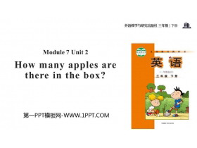 《How many apples are there in the box?》PPT教学课件