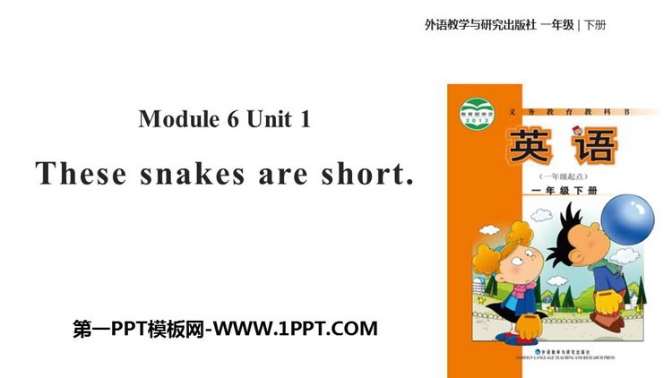 《These snakes are short》PPT教学课件