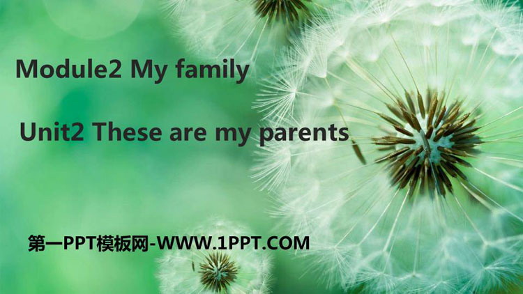 《These are my parents》PPT课件下载