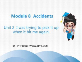 《I was trying to pick it up when it bite me again》Accidents PPT优秀课件