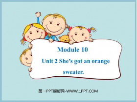 《She/s got an orange sweater》PPT教学课件