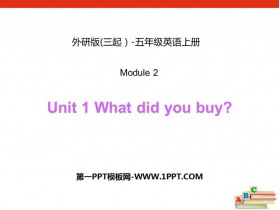 《What did you buy?》PPT教学课件
