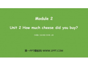 《How much cheese did you buy?》PPT课件下载