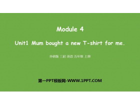 《Mum bought a new T-shirt for me》PPT教学课件