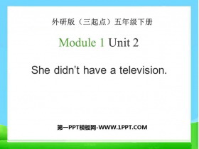 《She didn/t have a television》PPT课件下载