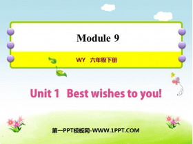 《Best Wishes to you》PPT课件下载