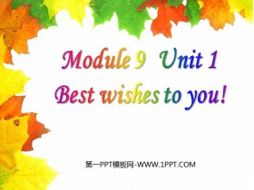 《Best Wishes to you》PPT精品课件