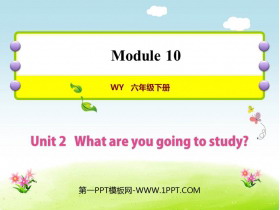 《What are you going to study?》PPT教学课件