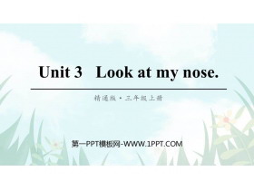 《Look at my nose》PPT教学课件