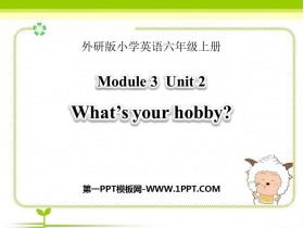 《What/s your hobby?》PPT教学课件