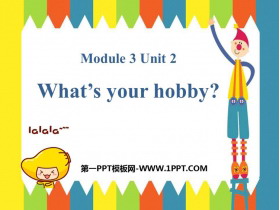《What/s your hobby?》PPT精品课件